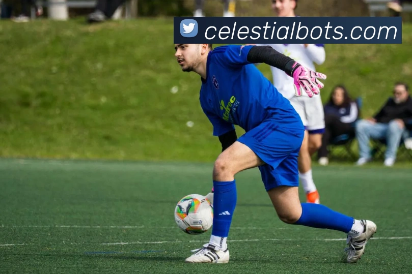 开云体育服务体系